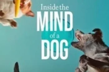 Inside the Mind of a Dog อ่านใจสุนัข (2024)